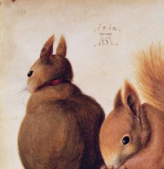 Målning av Albrecht Dürer   1492.